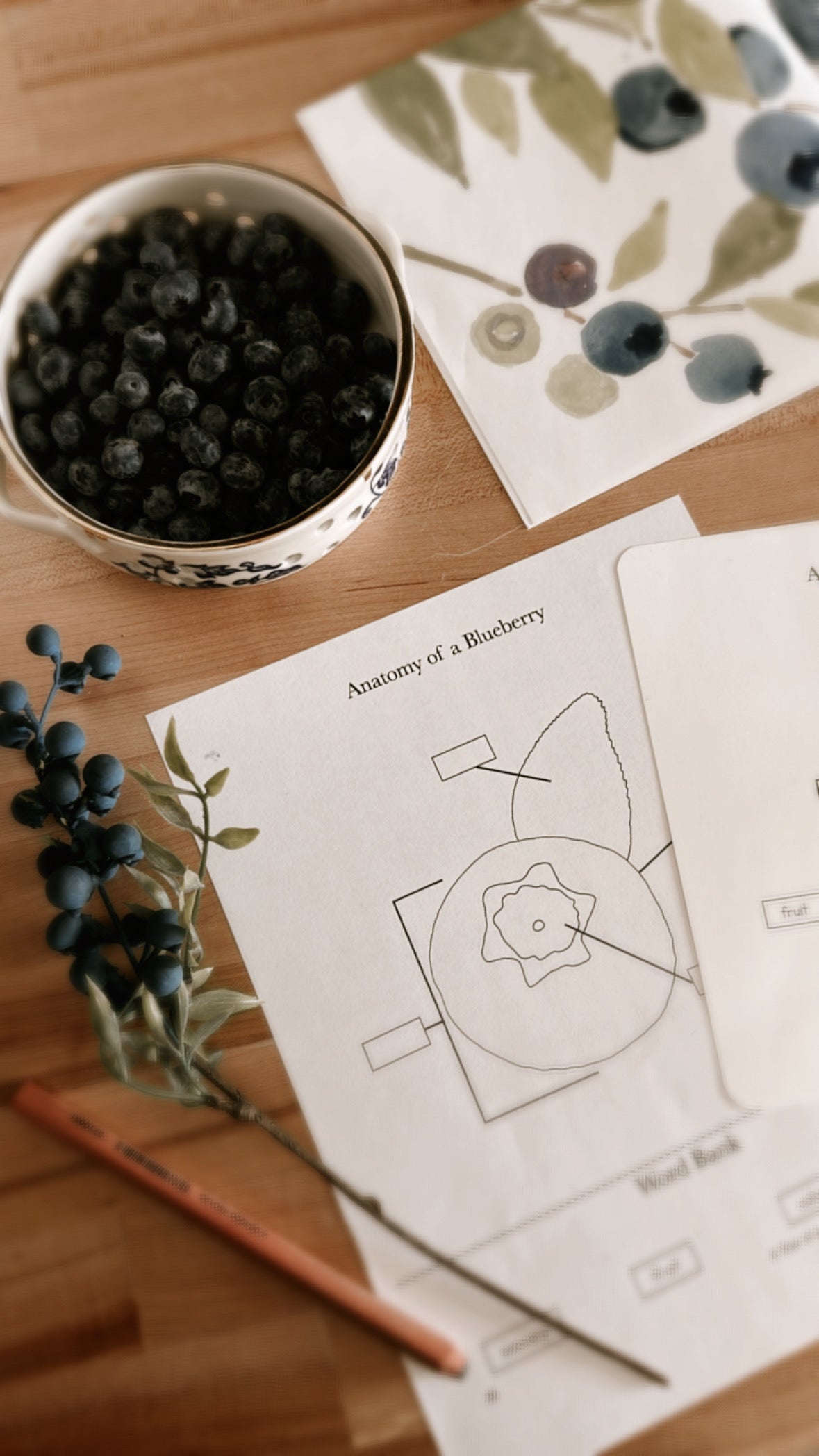 All About Berries