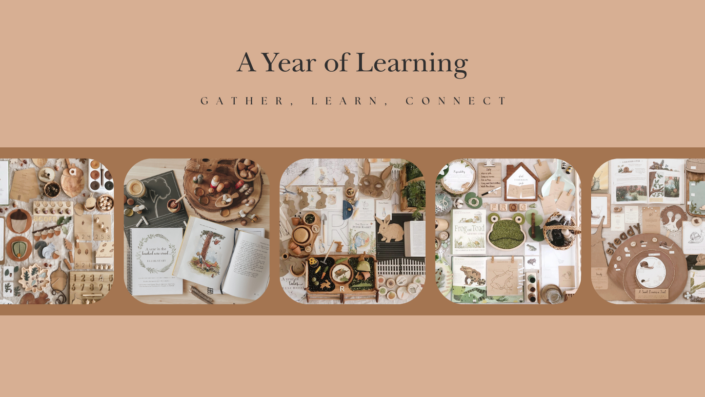 A Year of Learning Connection and Learning Community