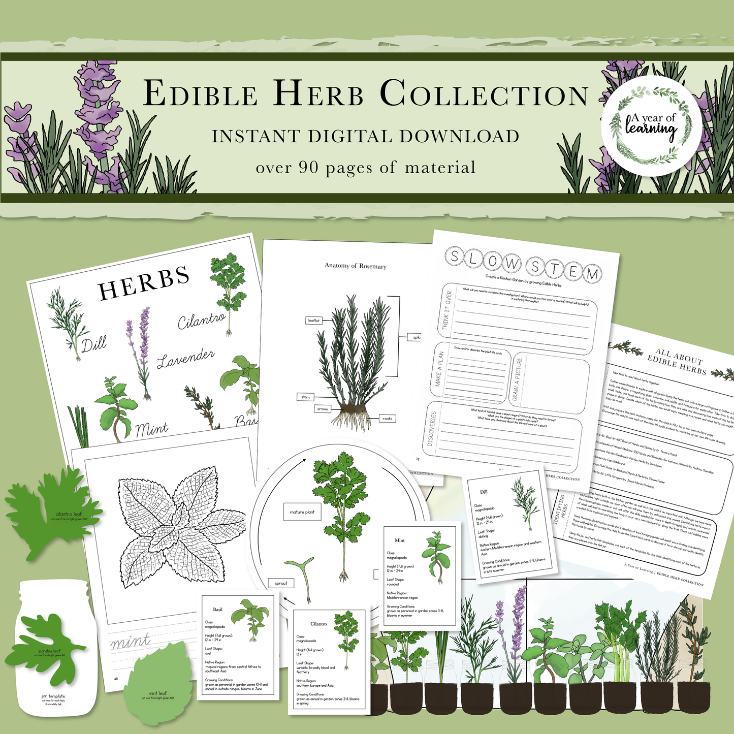 Edible Herb Collection
