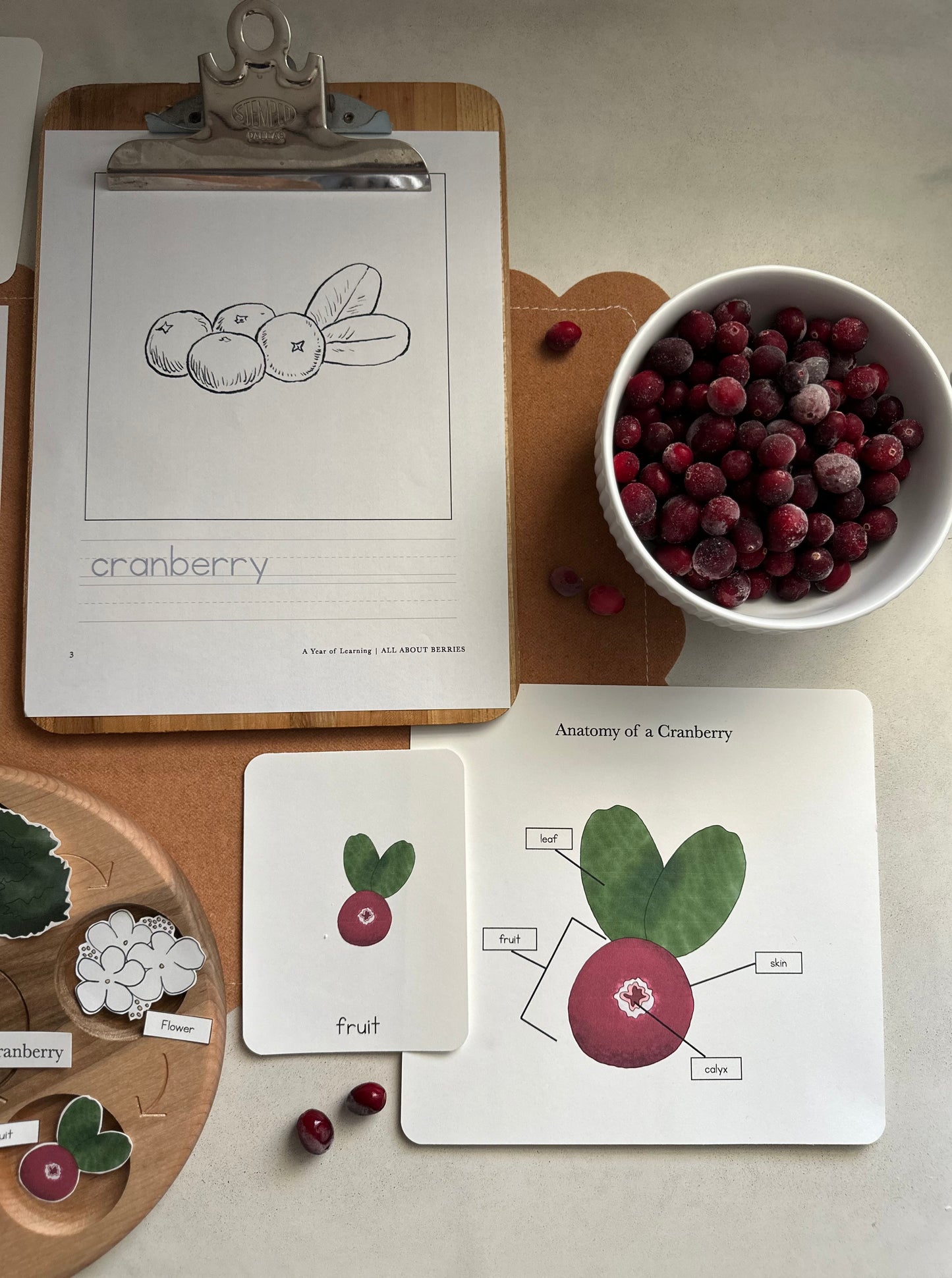 All About Berries
