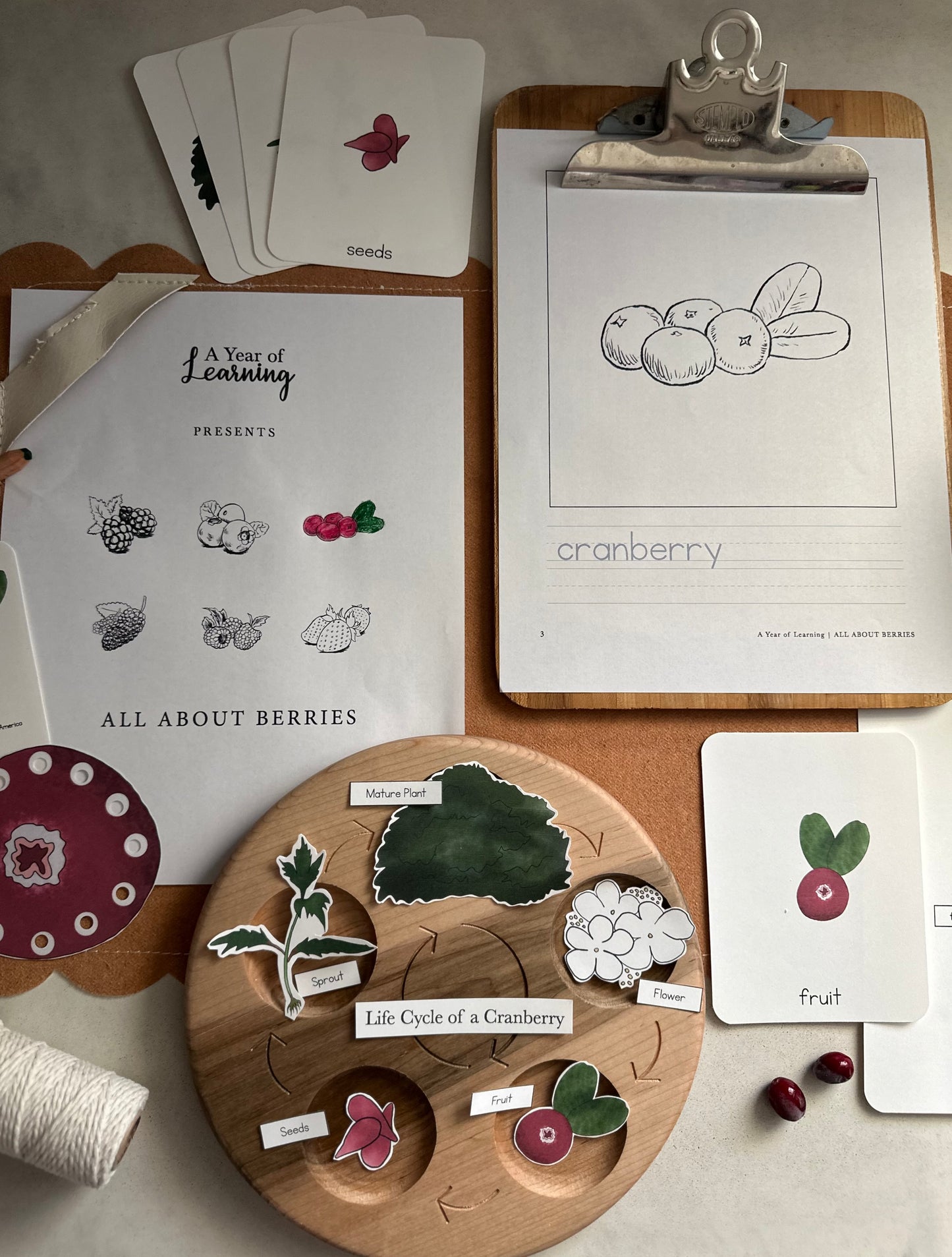 All About Berries
