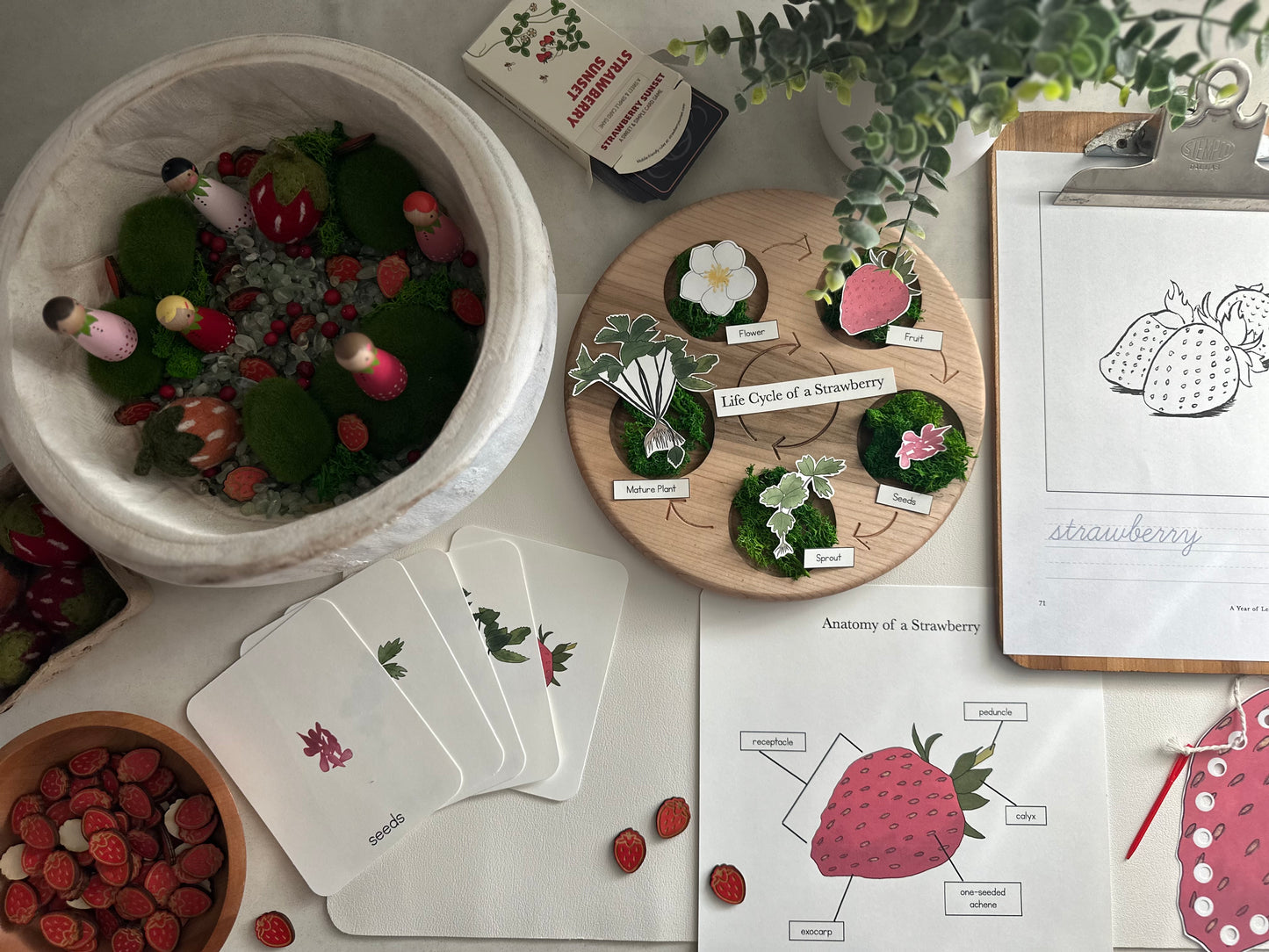 All About Berries