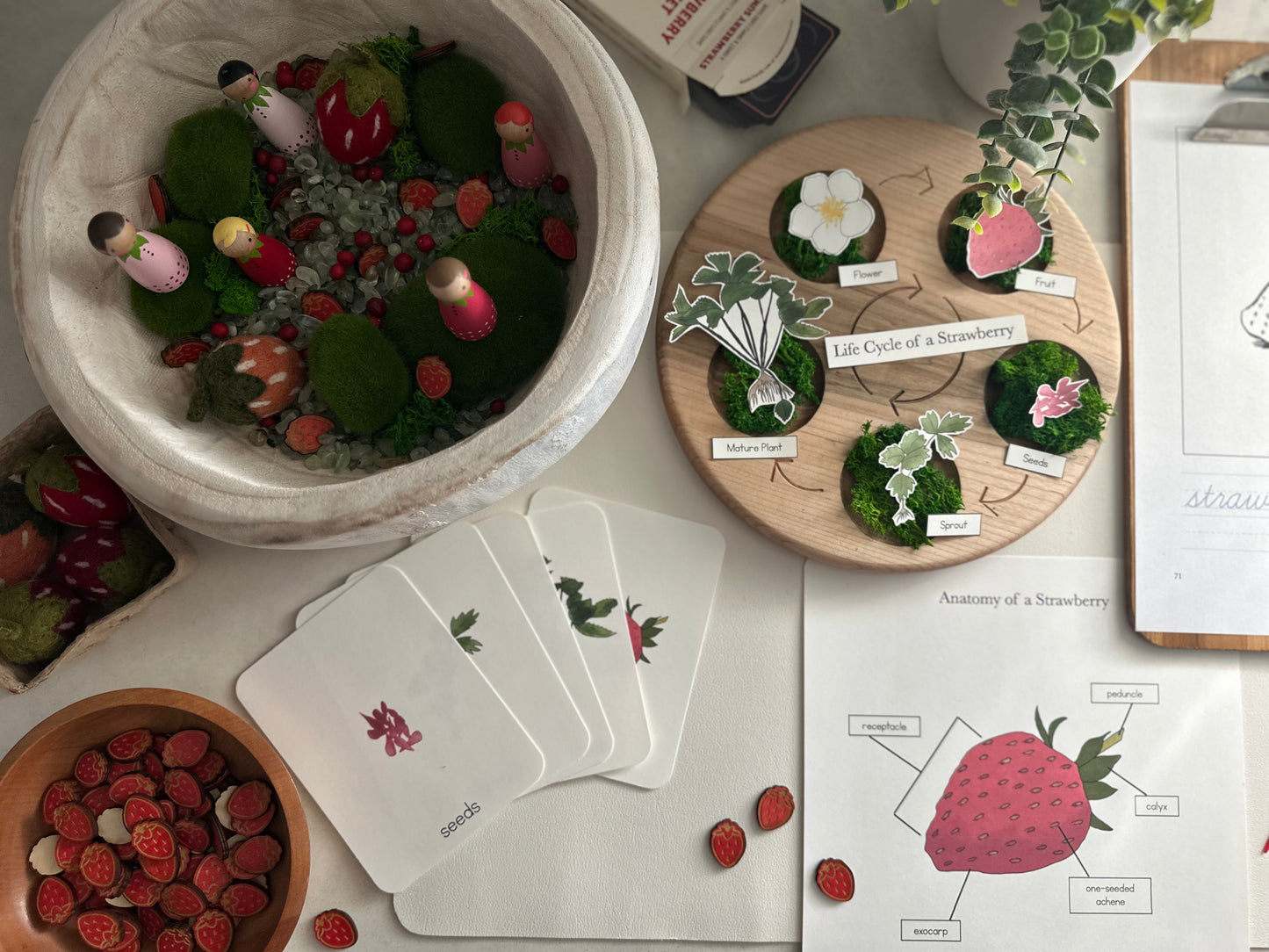 All About Berries