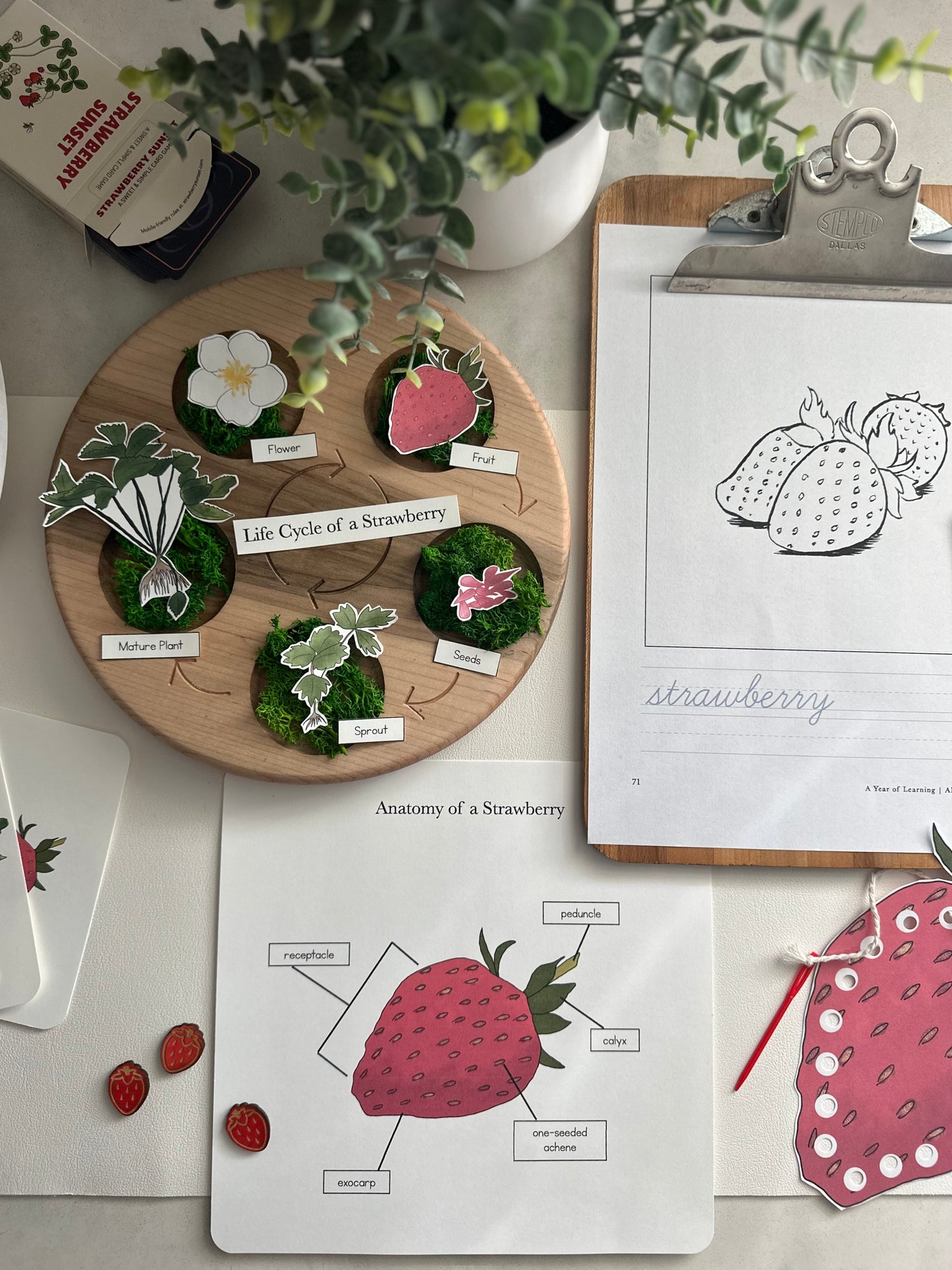 All About Berries