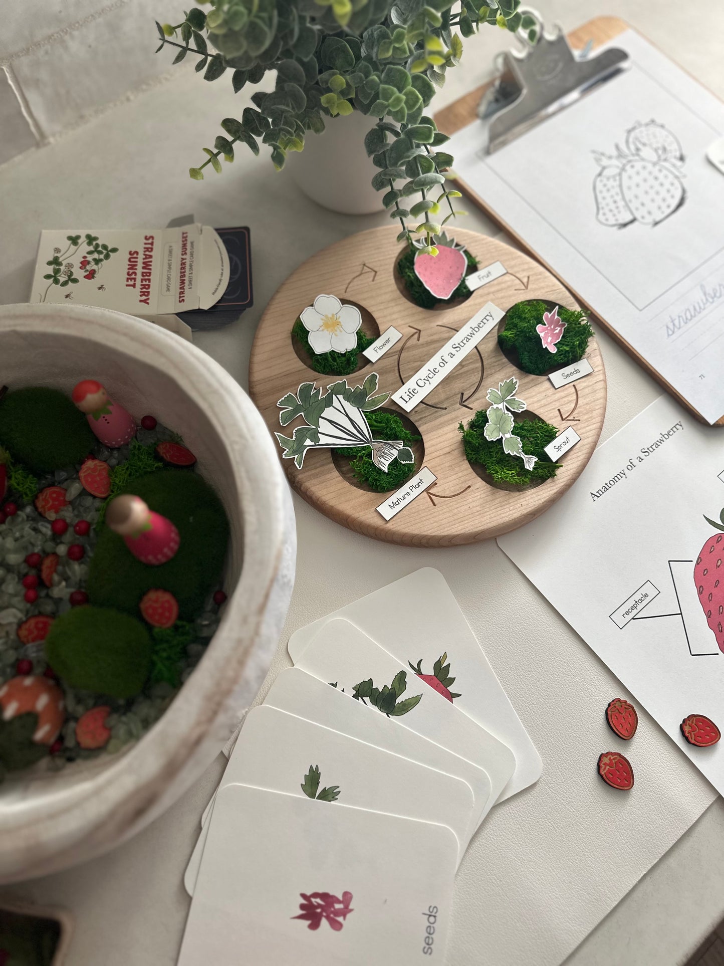All About Berries