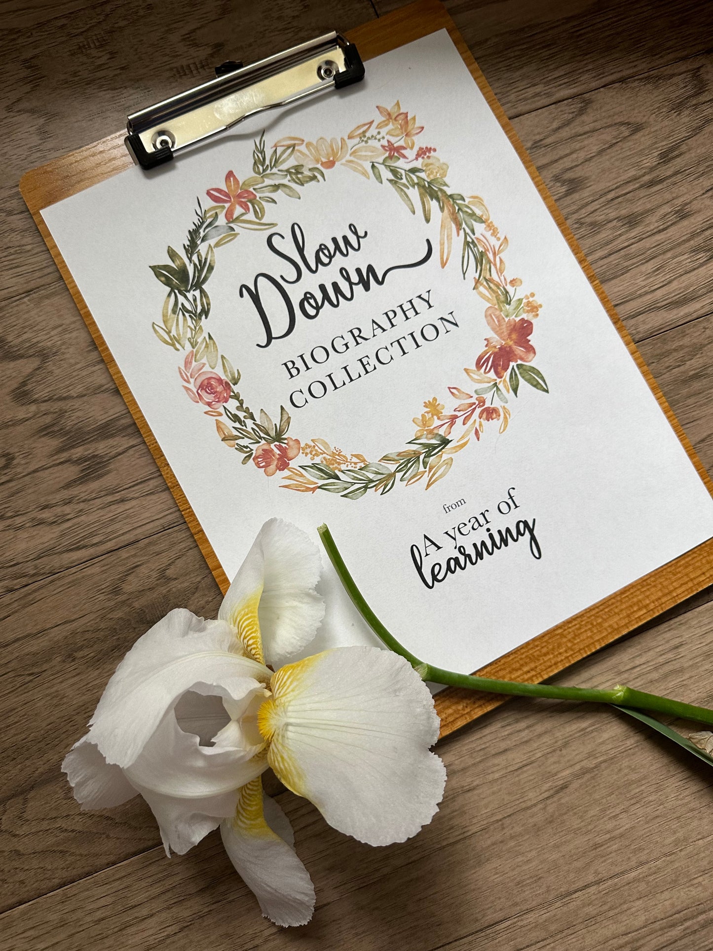 Slow Down Biography Collection