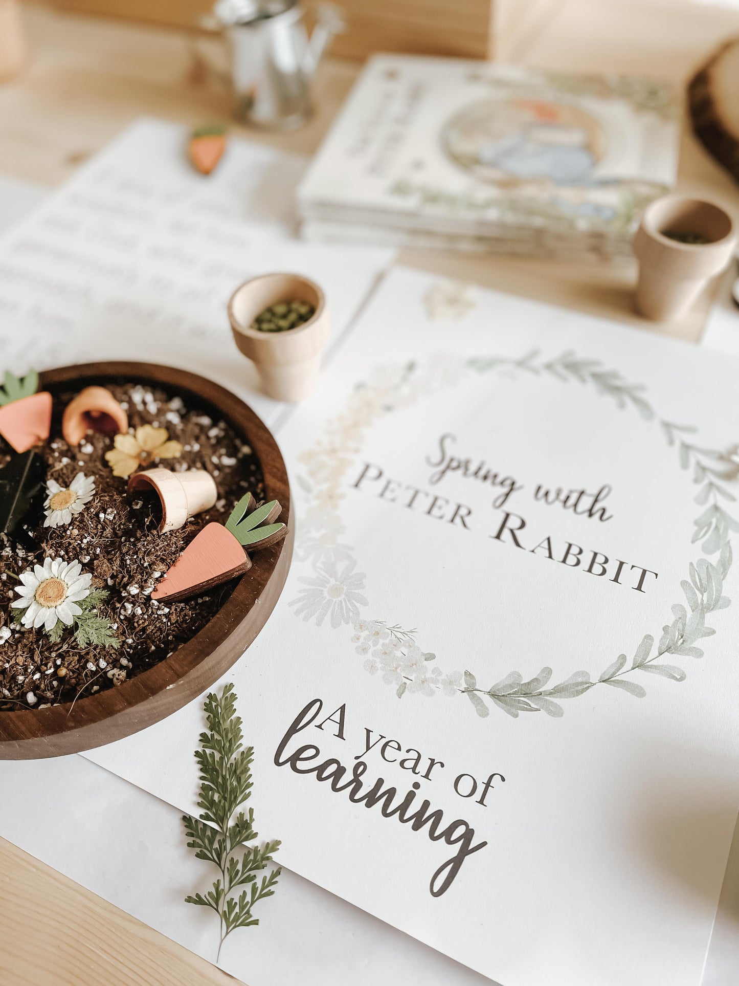 Spring with Peter Rabbit