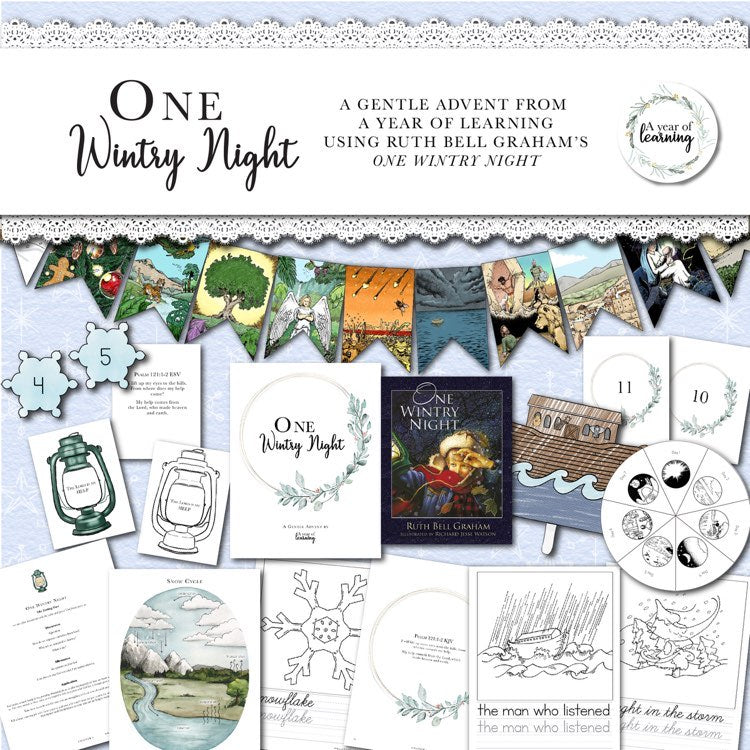 One Wintry Night