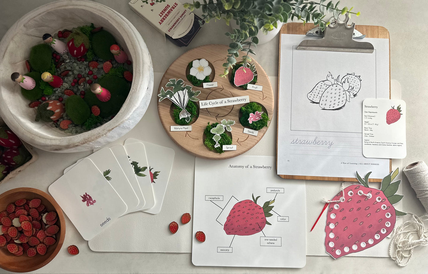 All About Berries