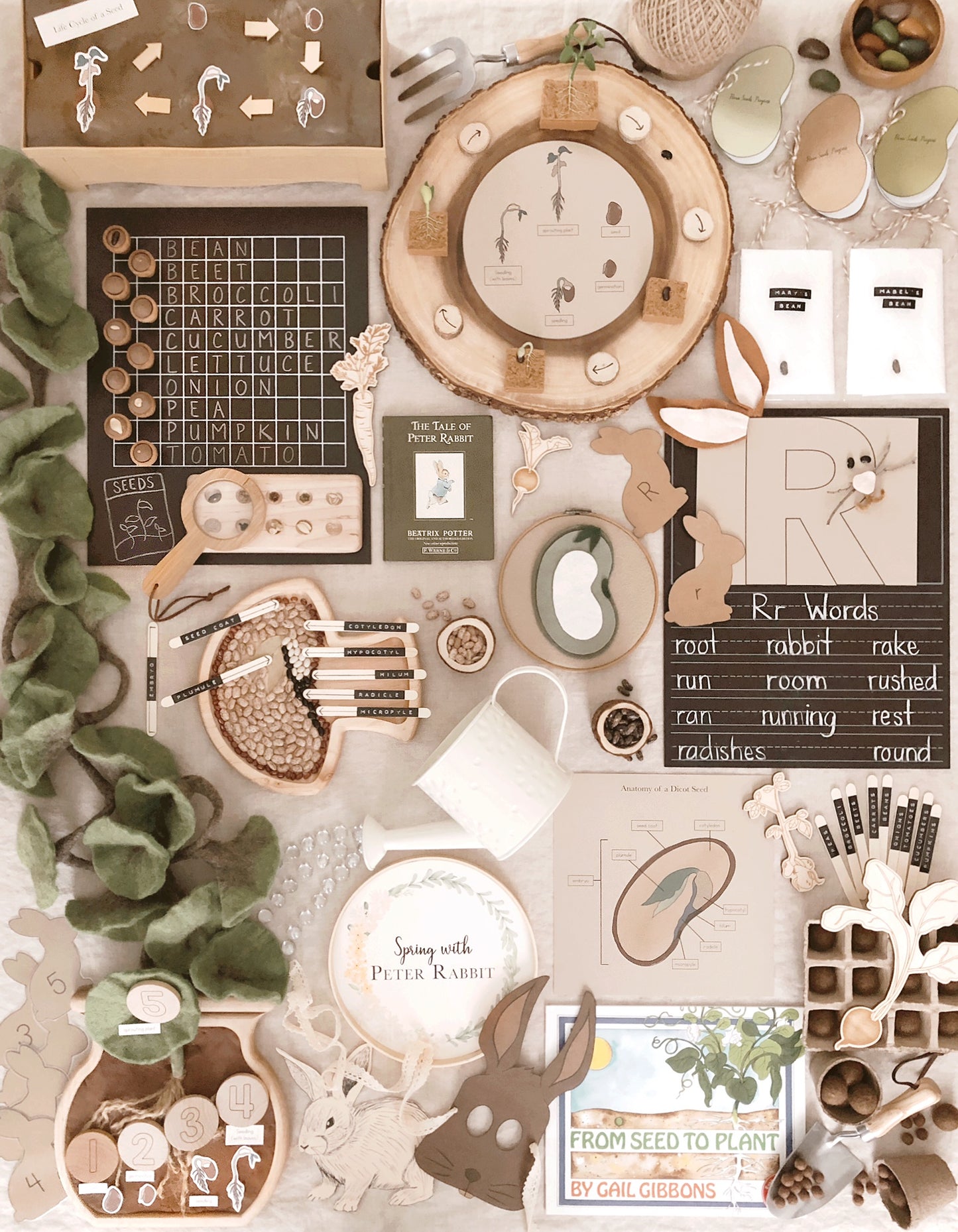 Spring with Peter Rabbit