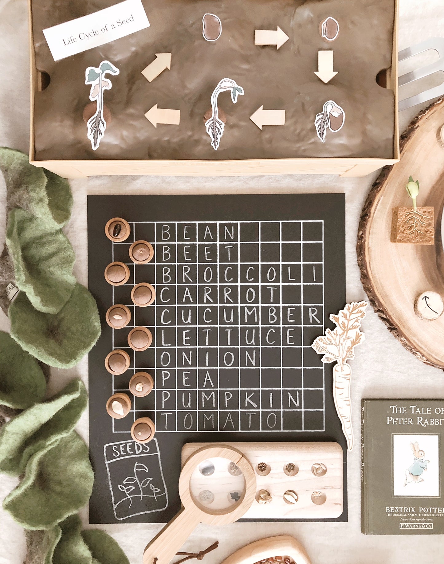 Spring with Peter Rabbit