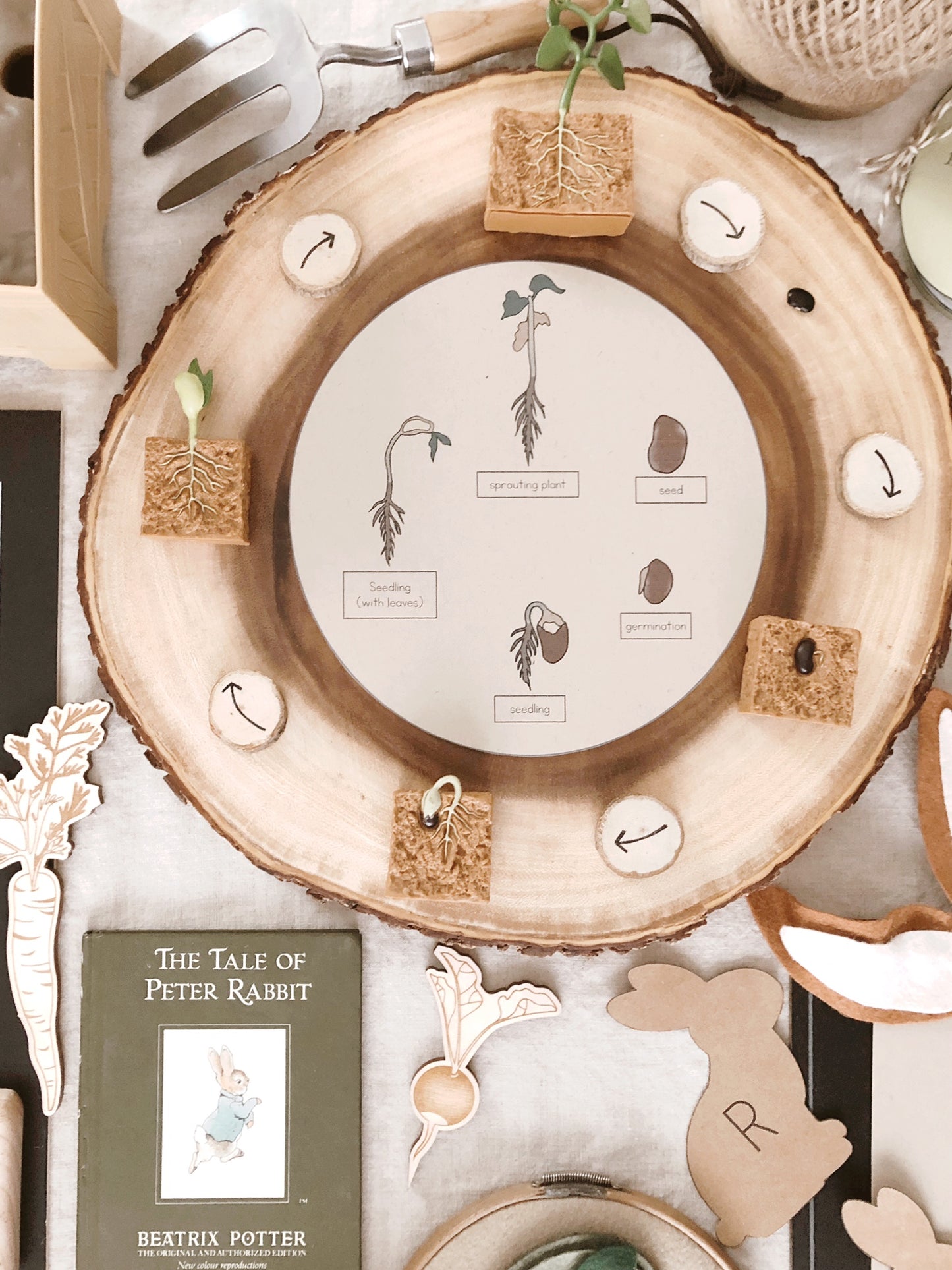 Spring with Peter Rabbit
