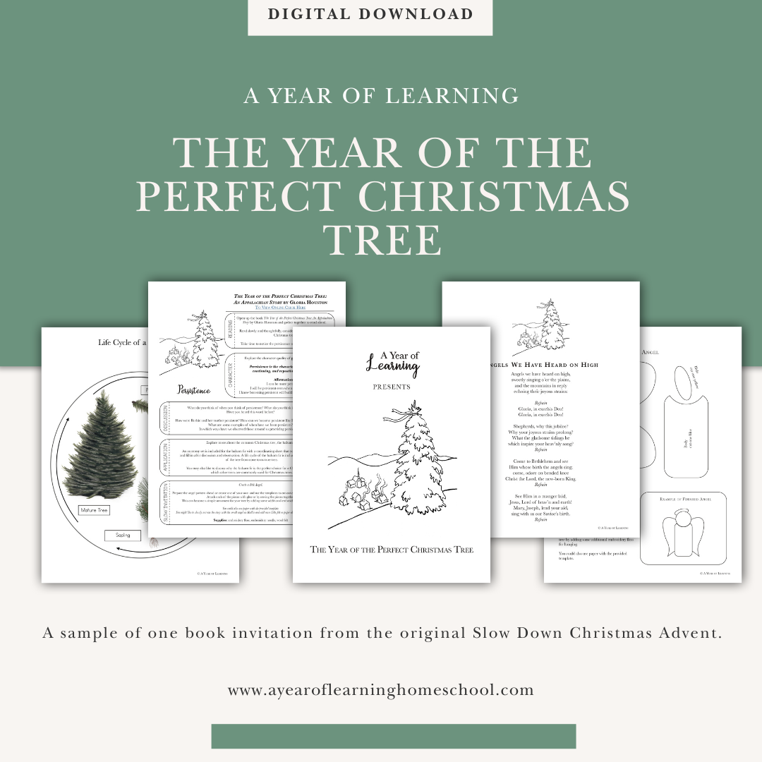 The Year of the Perfect Christmas Tree
