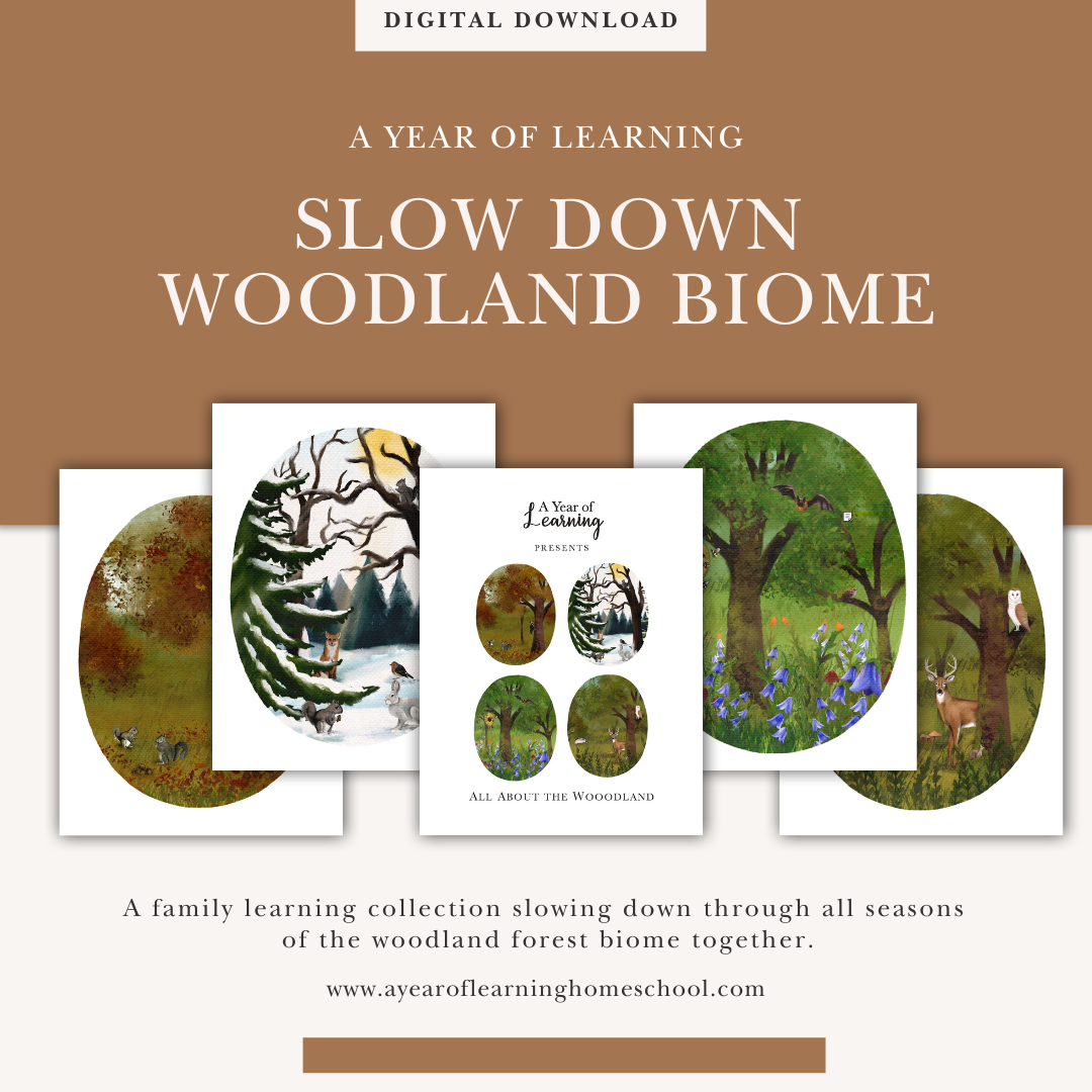 Slow Down Woodland Biome Collection