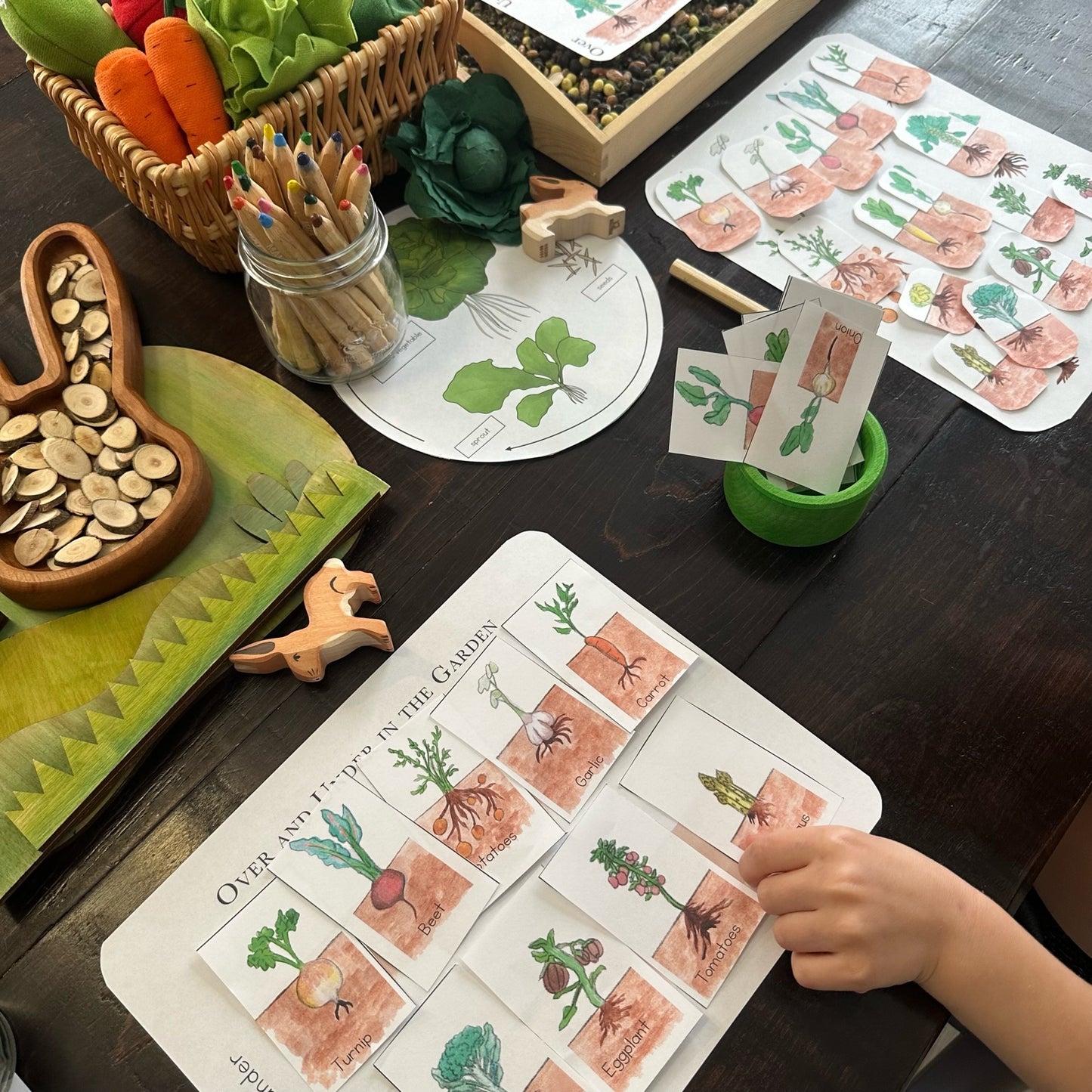 Spring with Peter Rabbit