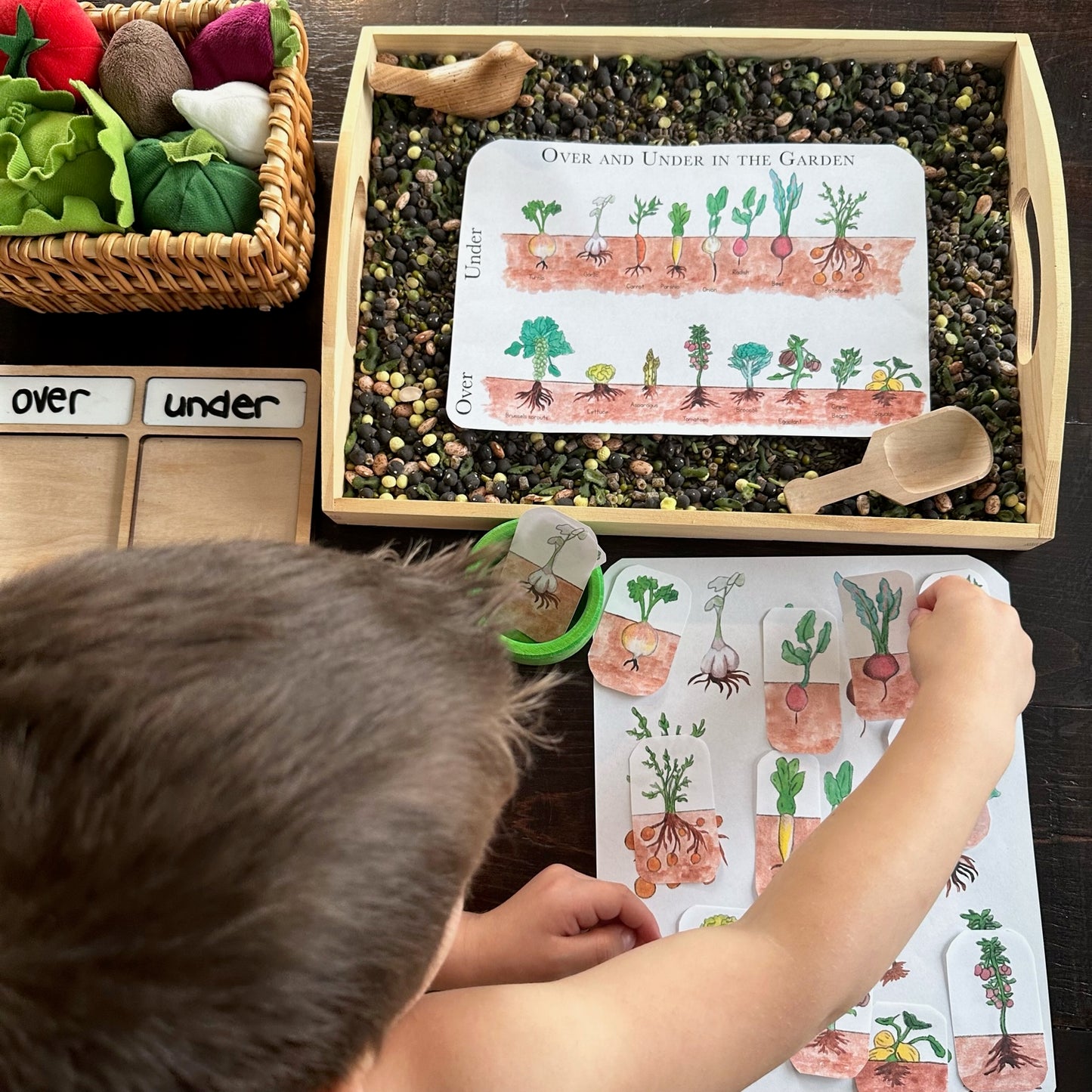 Spring with Peter Rabbit