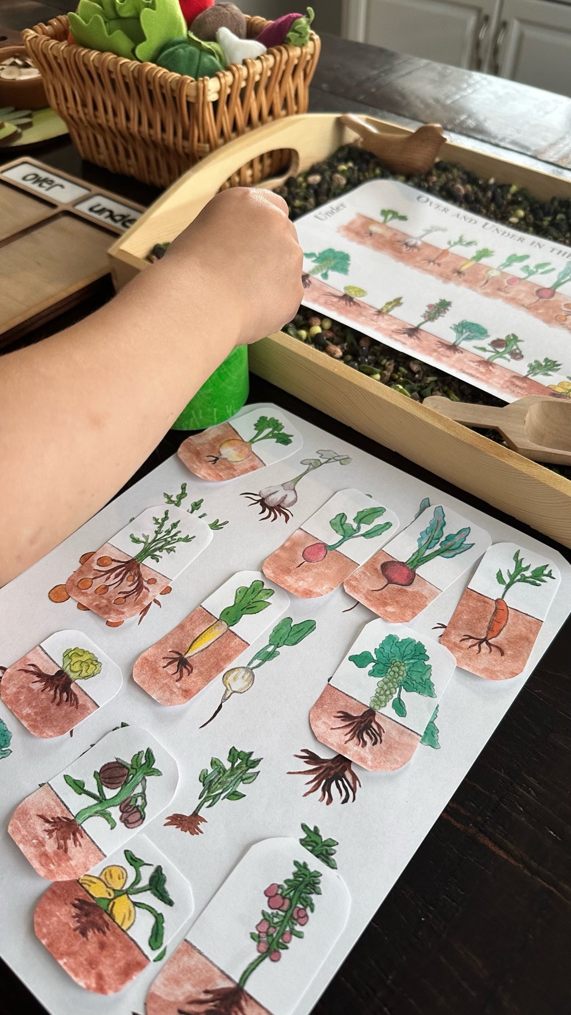 Spring with Peter Rabbit