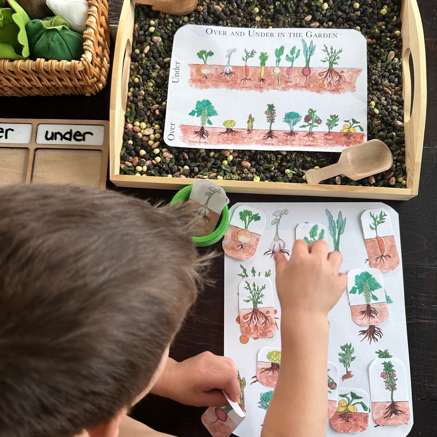 Spring with Peter Rabbit