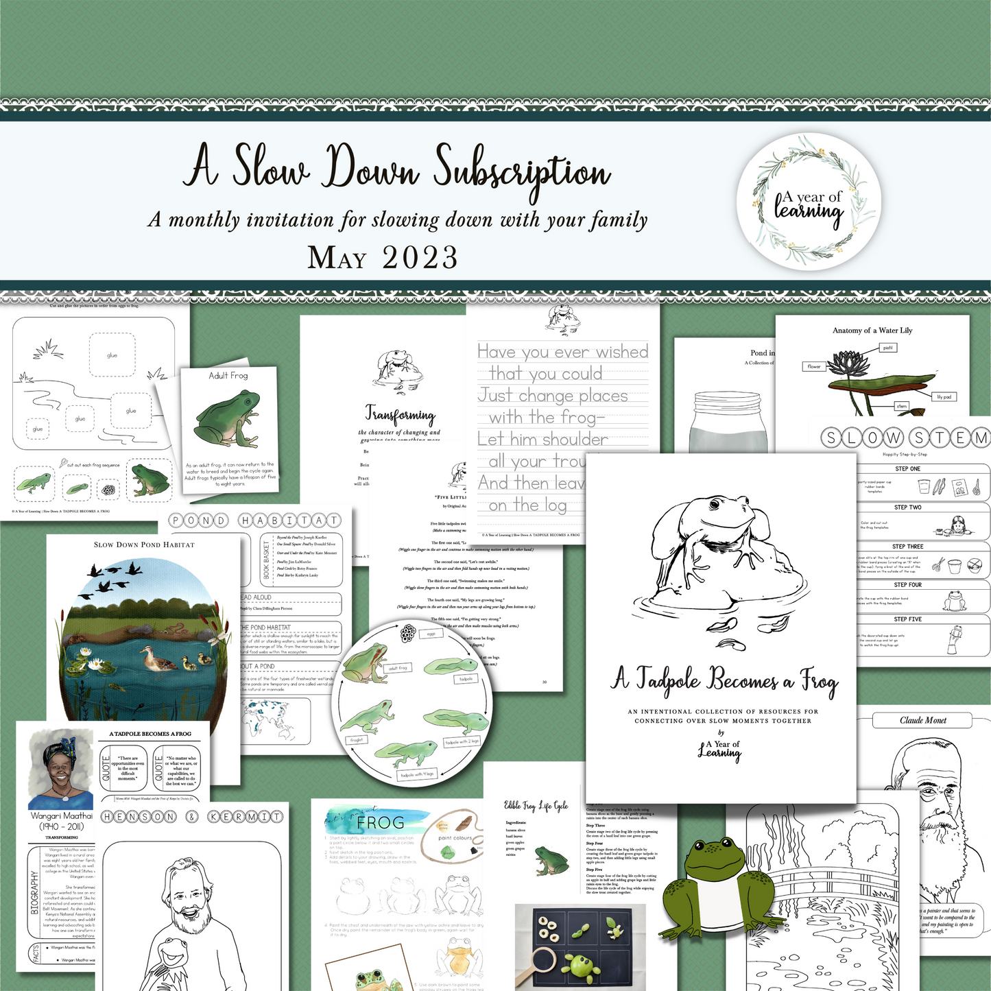 Tadpole to Frog Retire Slow Subscription