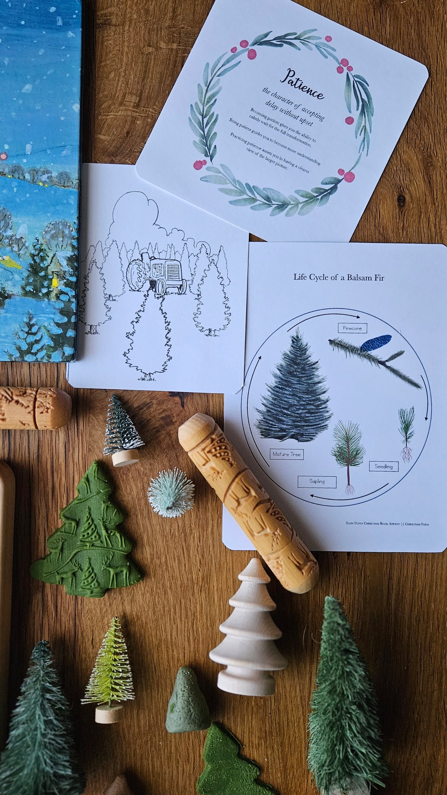 Slow Down Book Advent