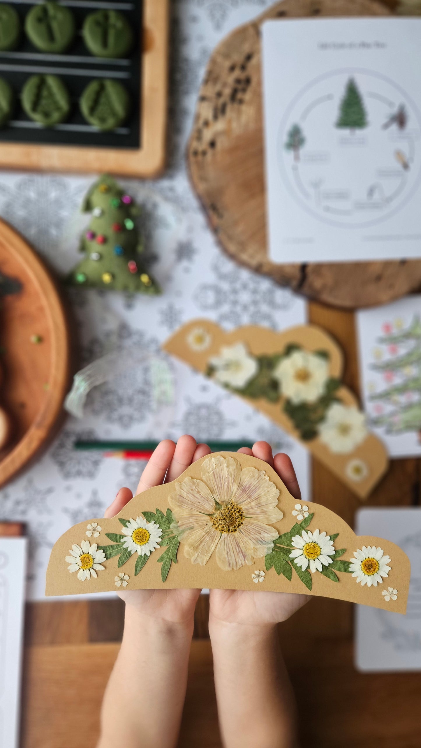 Slow Down Book Advent