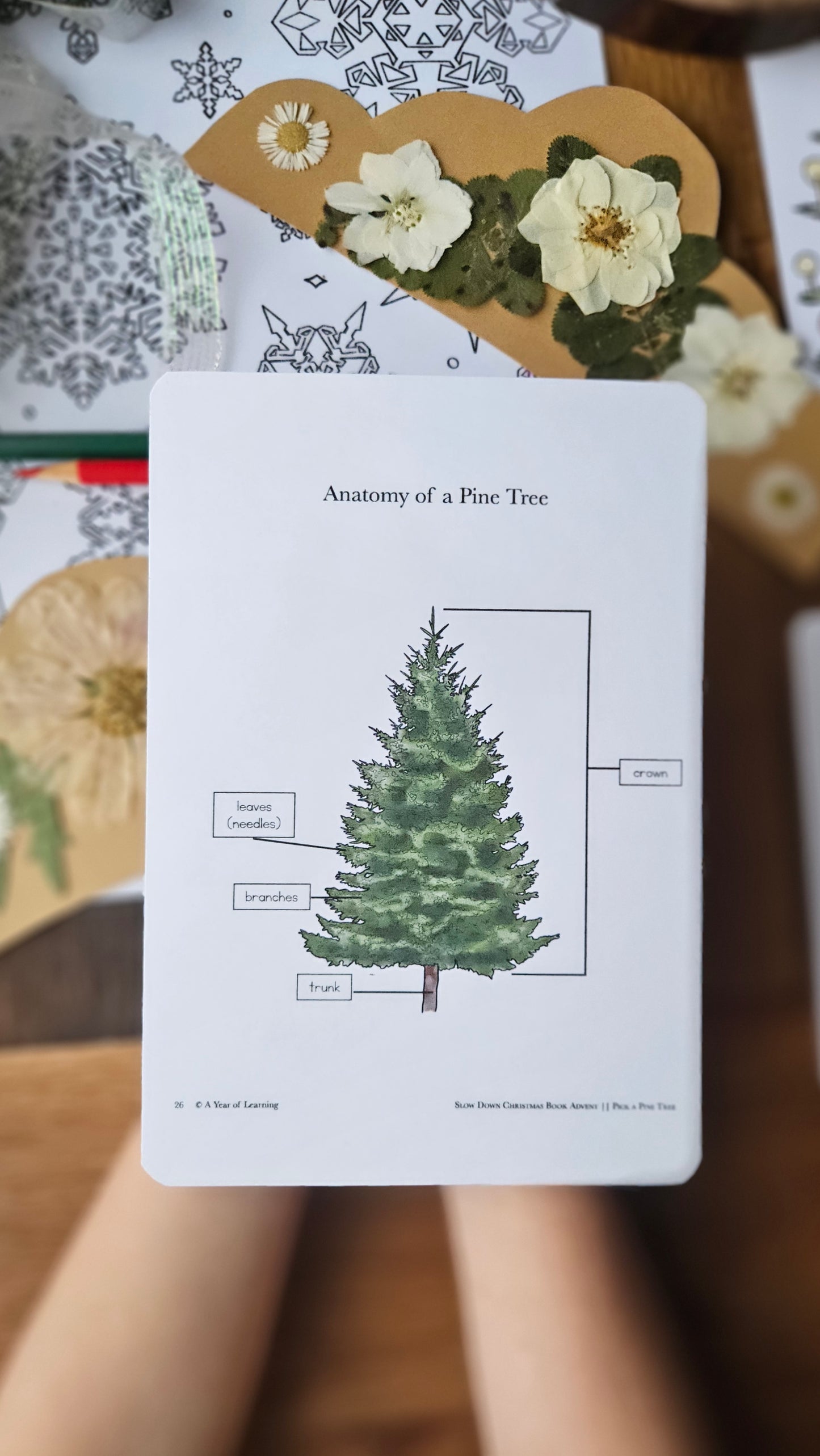 Slow Down Book Advent