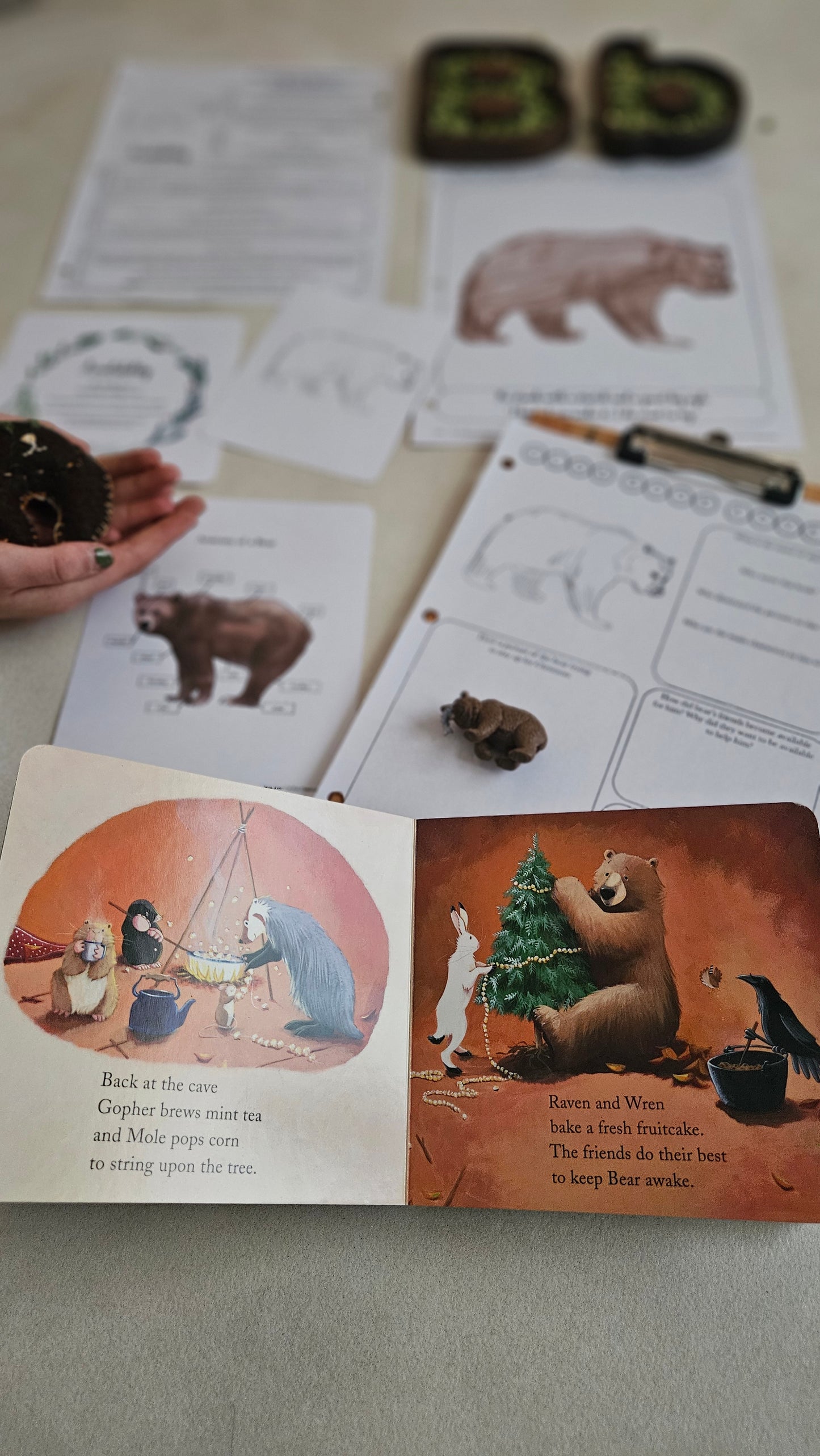 Slow Down Book Advent