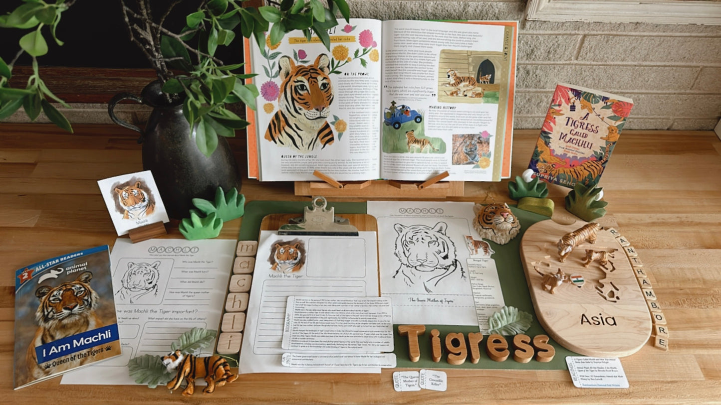 All About Rainforests