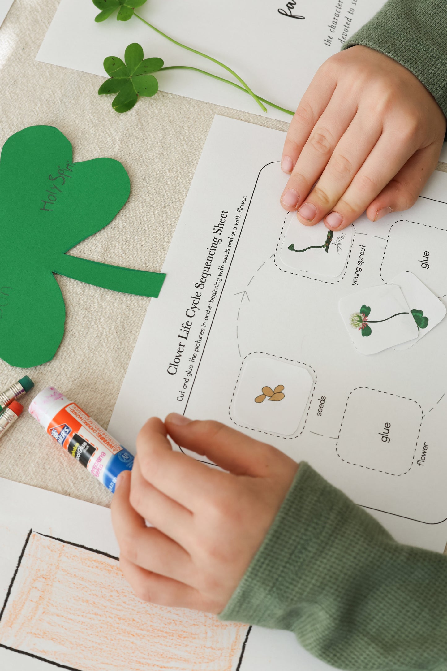 Saint Patrick's Day Collection