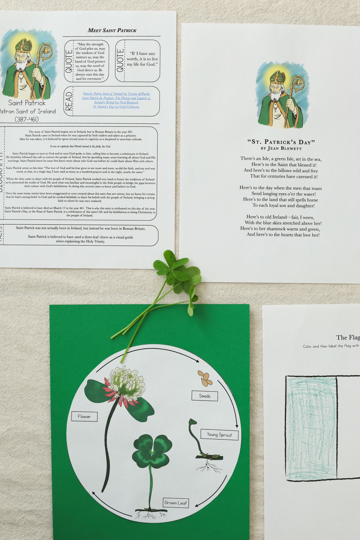 Saint Patrick's Day Collection