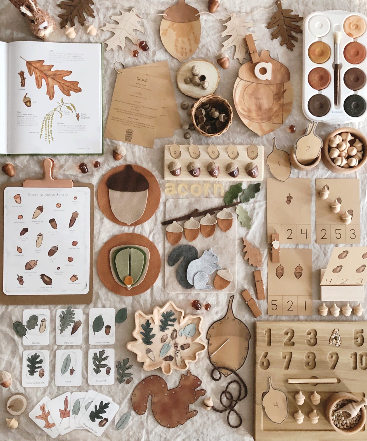 All About Acorns and The Busy Tree Collection