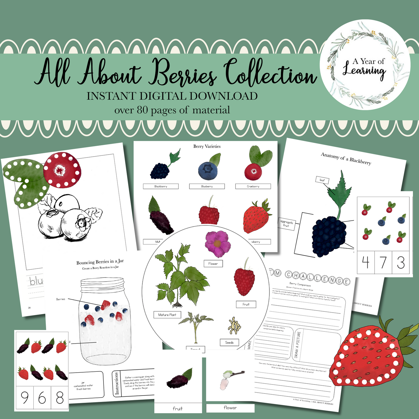 All About Berries