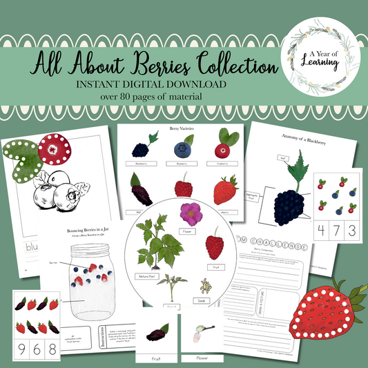 All About Berries