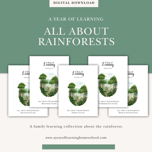 All About Rainforests