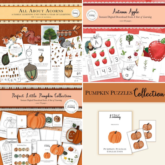 Autumn Bundle