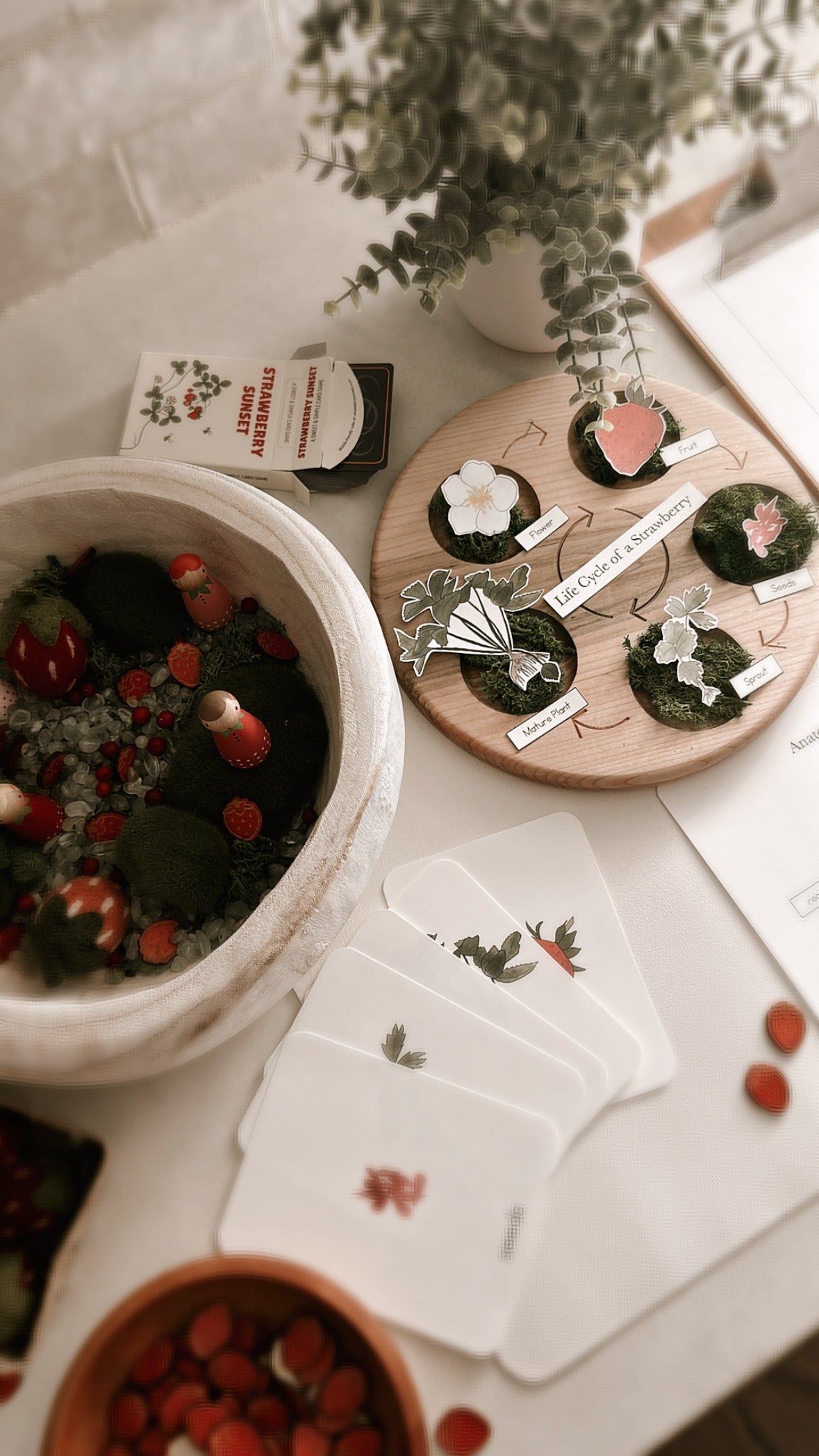 All About Berries