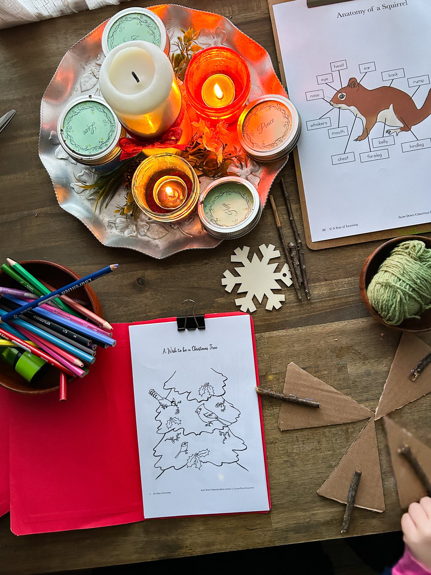 Slow Down Book Advent