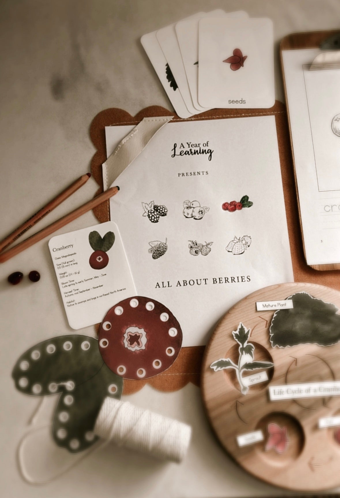 All About Berries