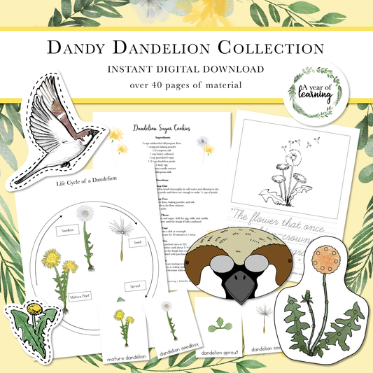 Dandy Dandelion