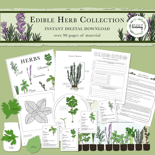 Edible Herb Collection