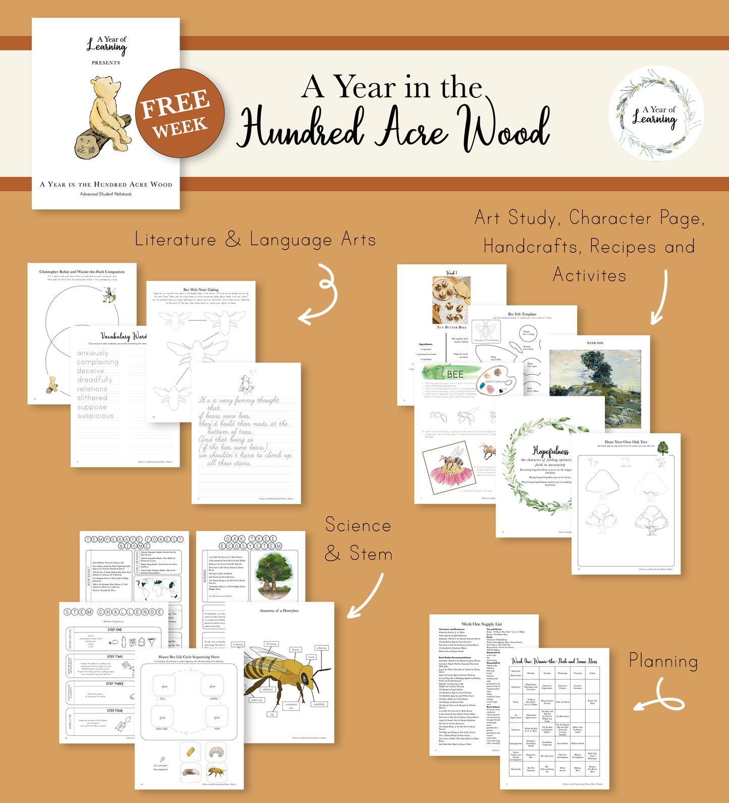 A Year in the Hundred Acre Wood Chapter/Lesson 1 Sample