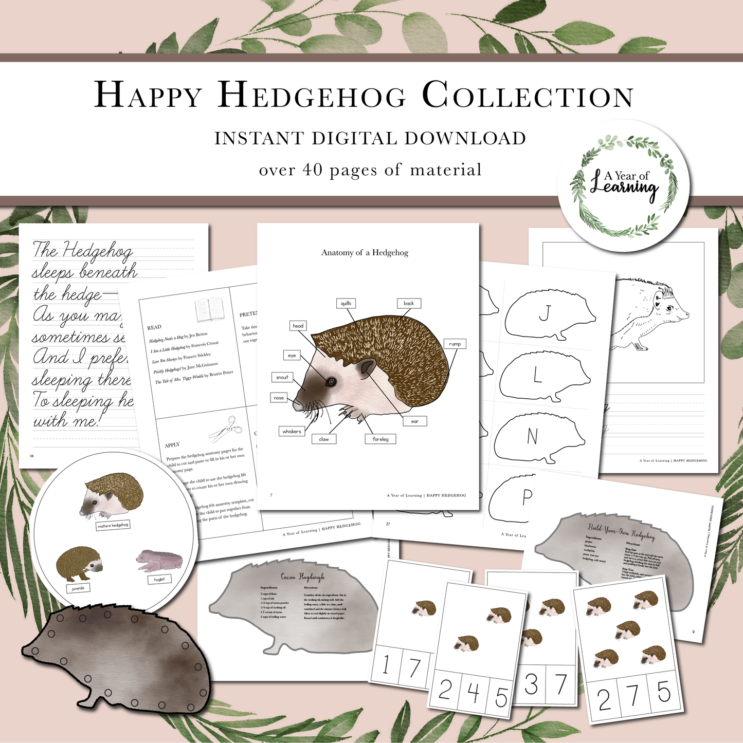 Original Hedgehog Collection