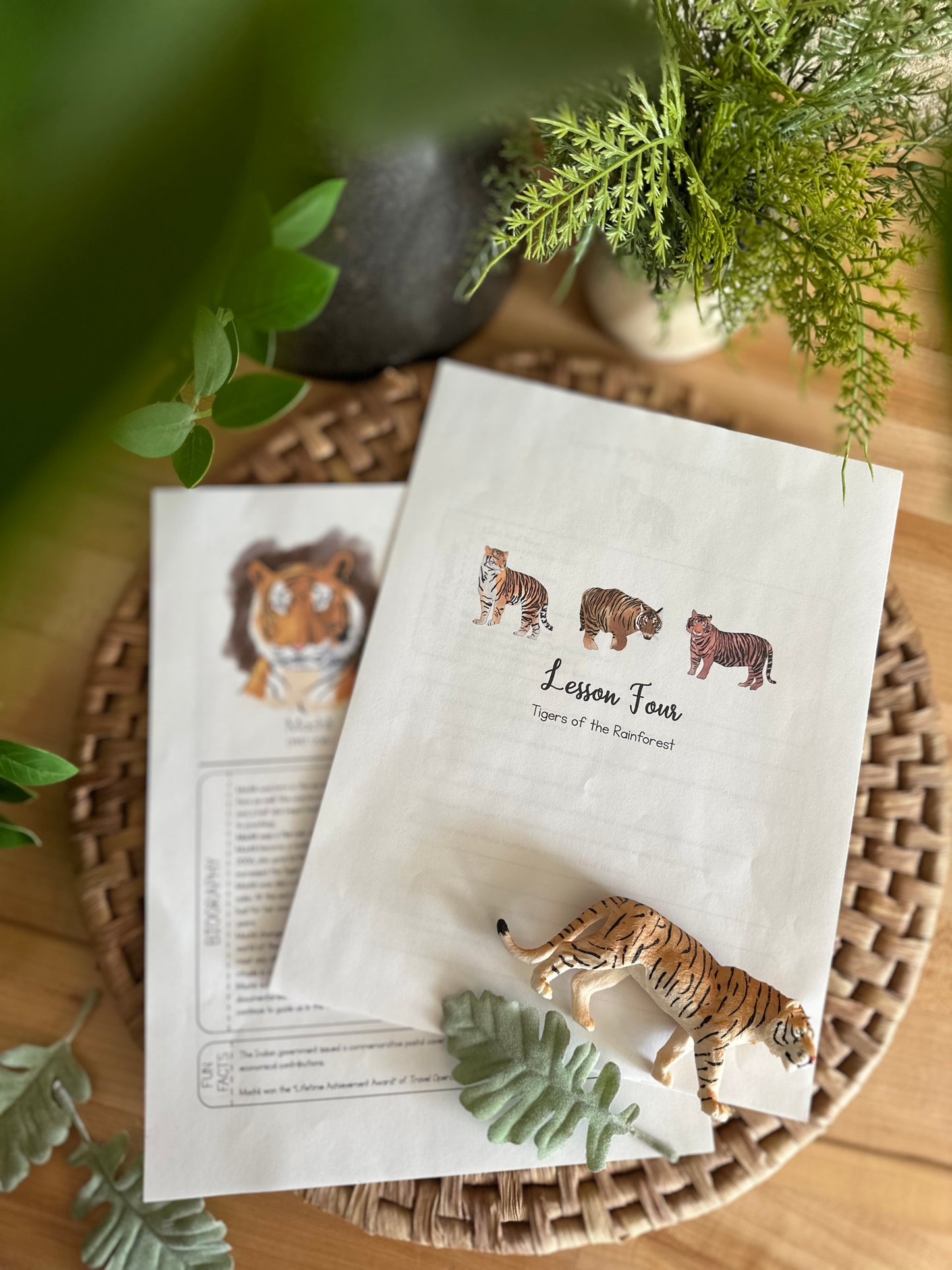 All About Rainforests Lesson Four Sample