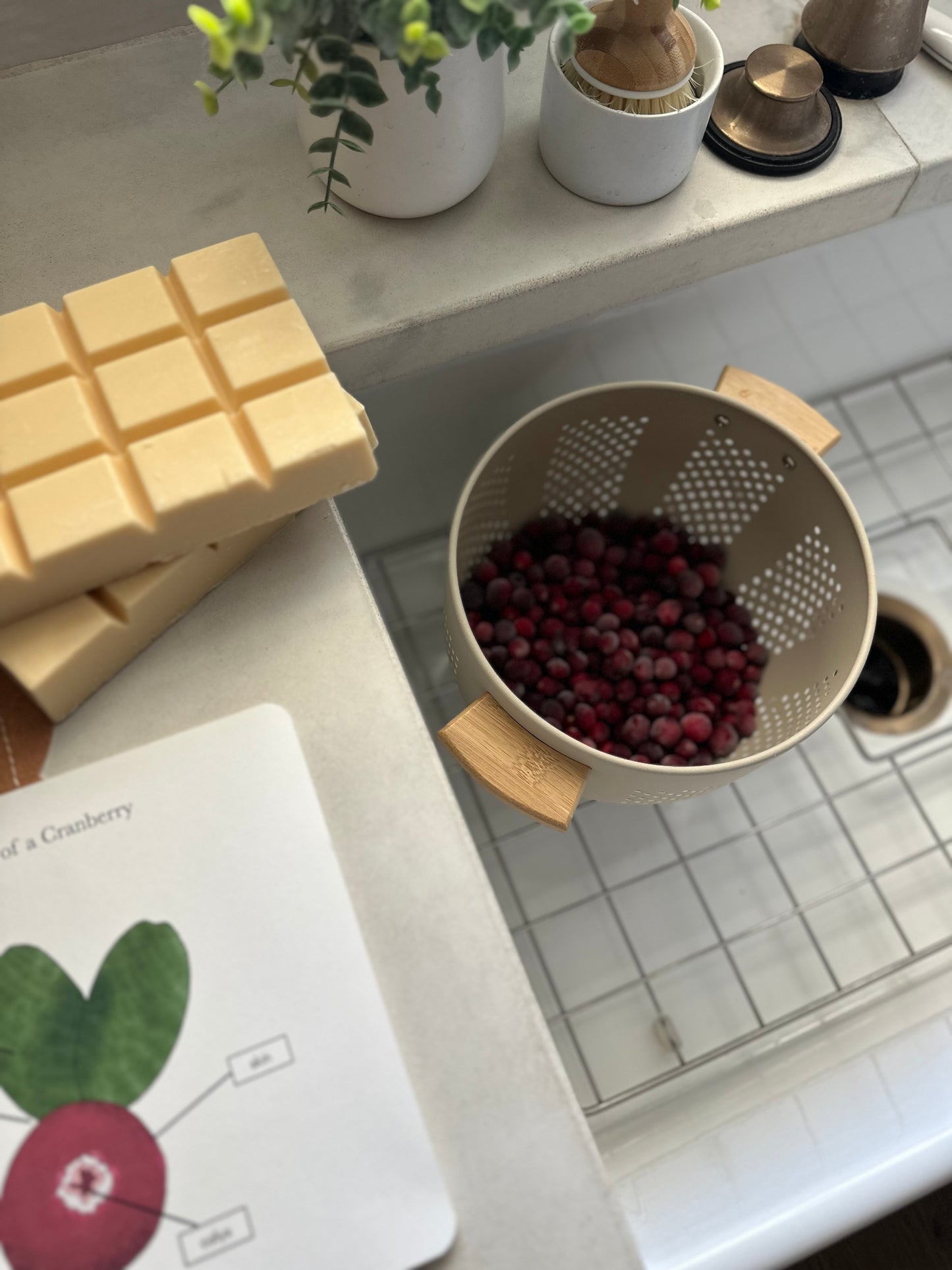 All About Berries