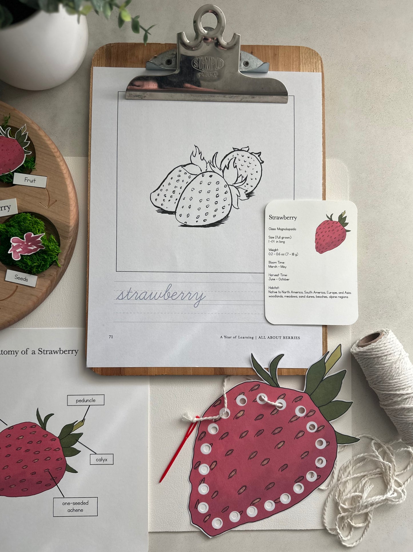 All About Berries