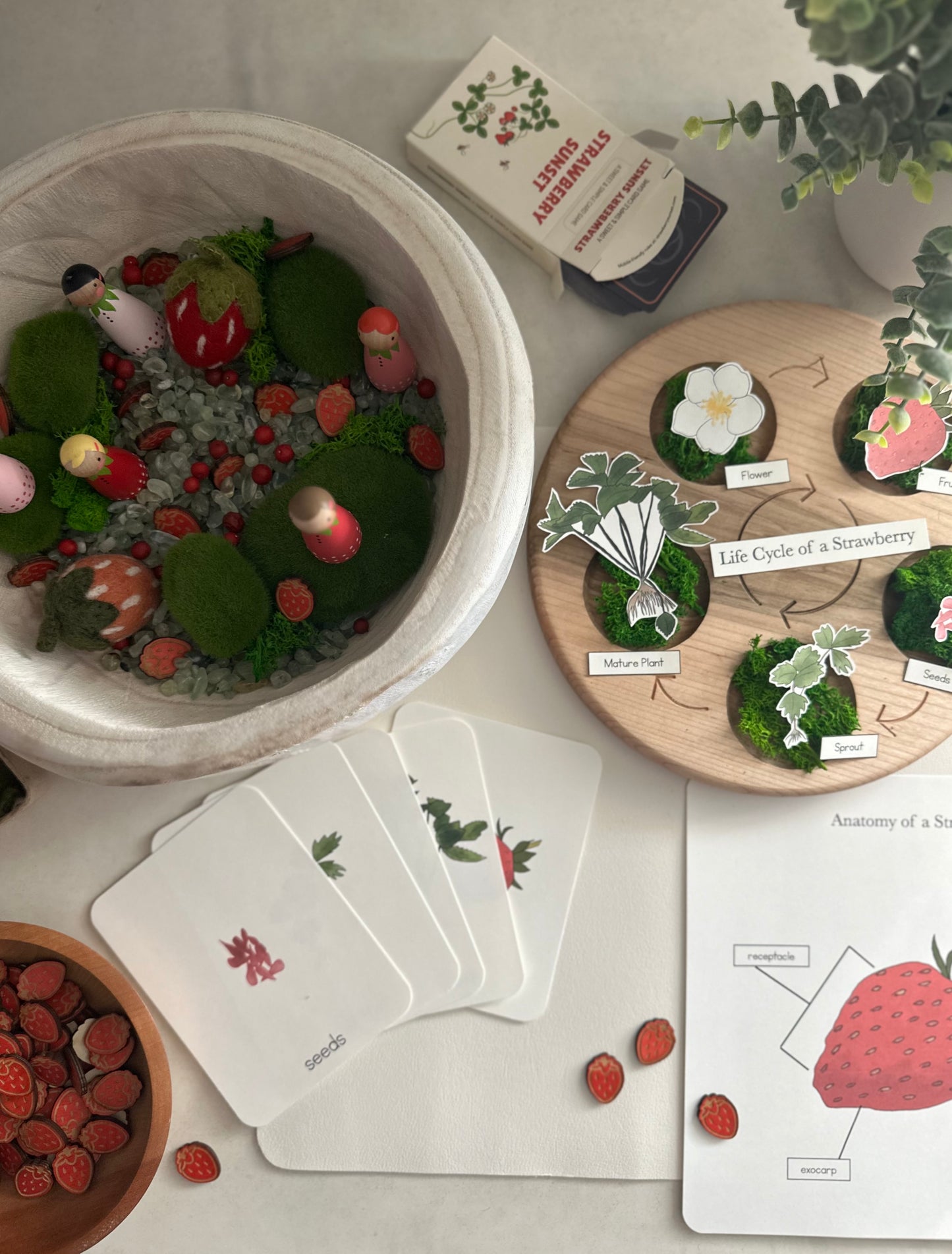All About Berries