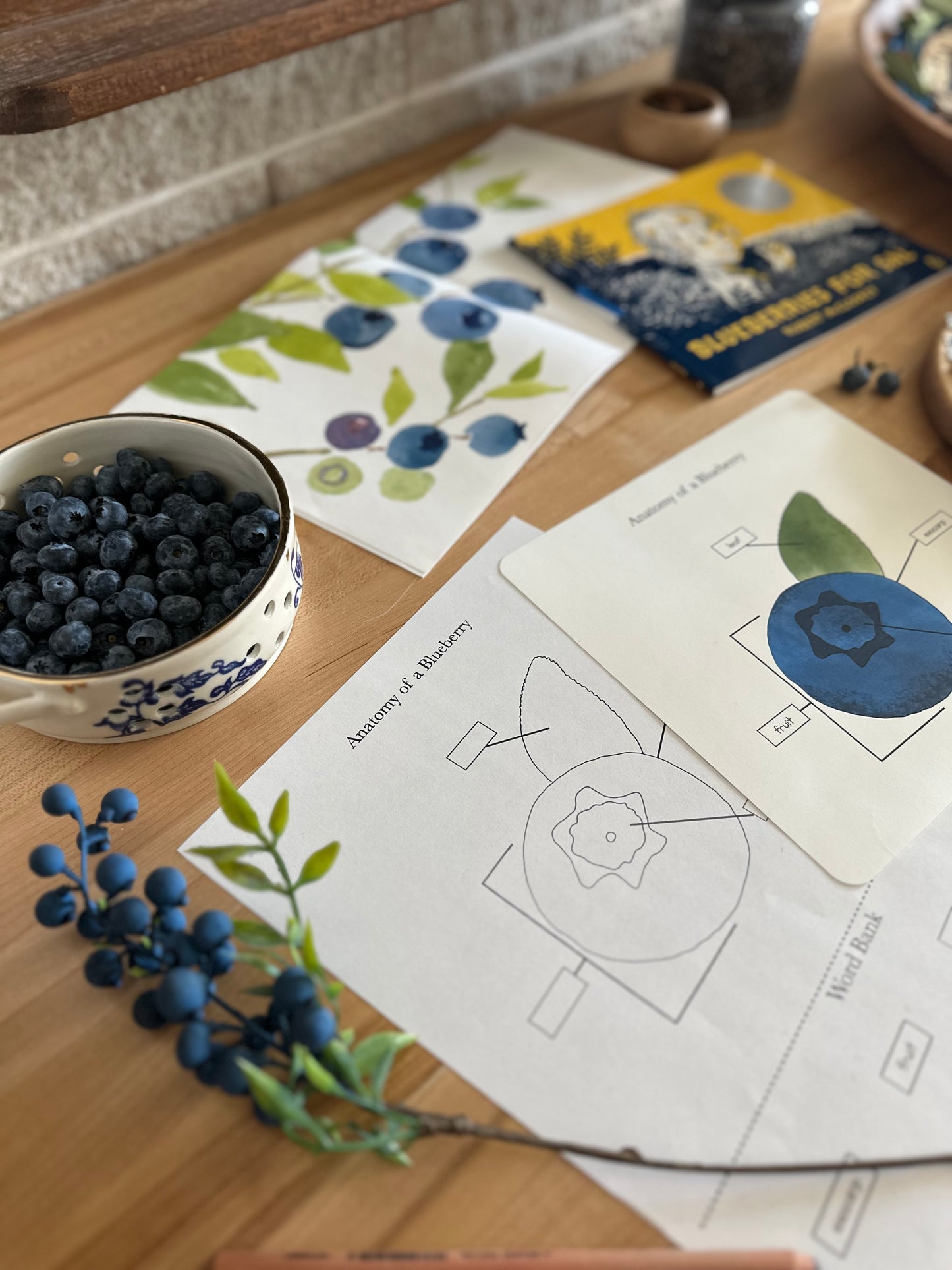 All About Berries