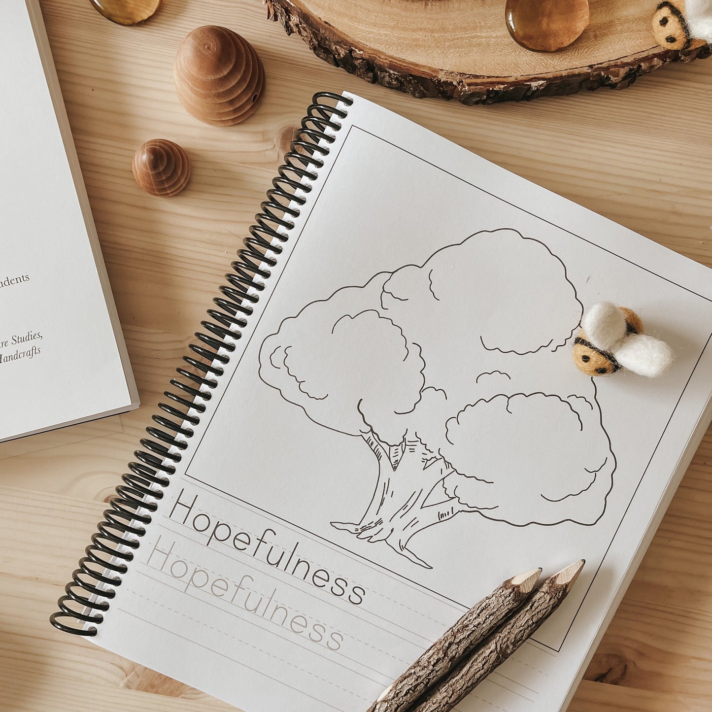 A Year in the Hundred Acre Wood Elementary