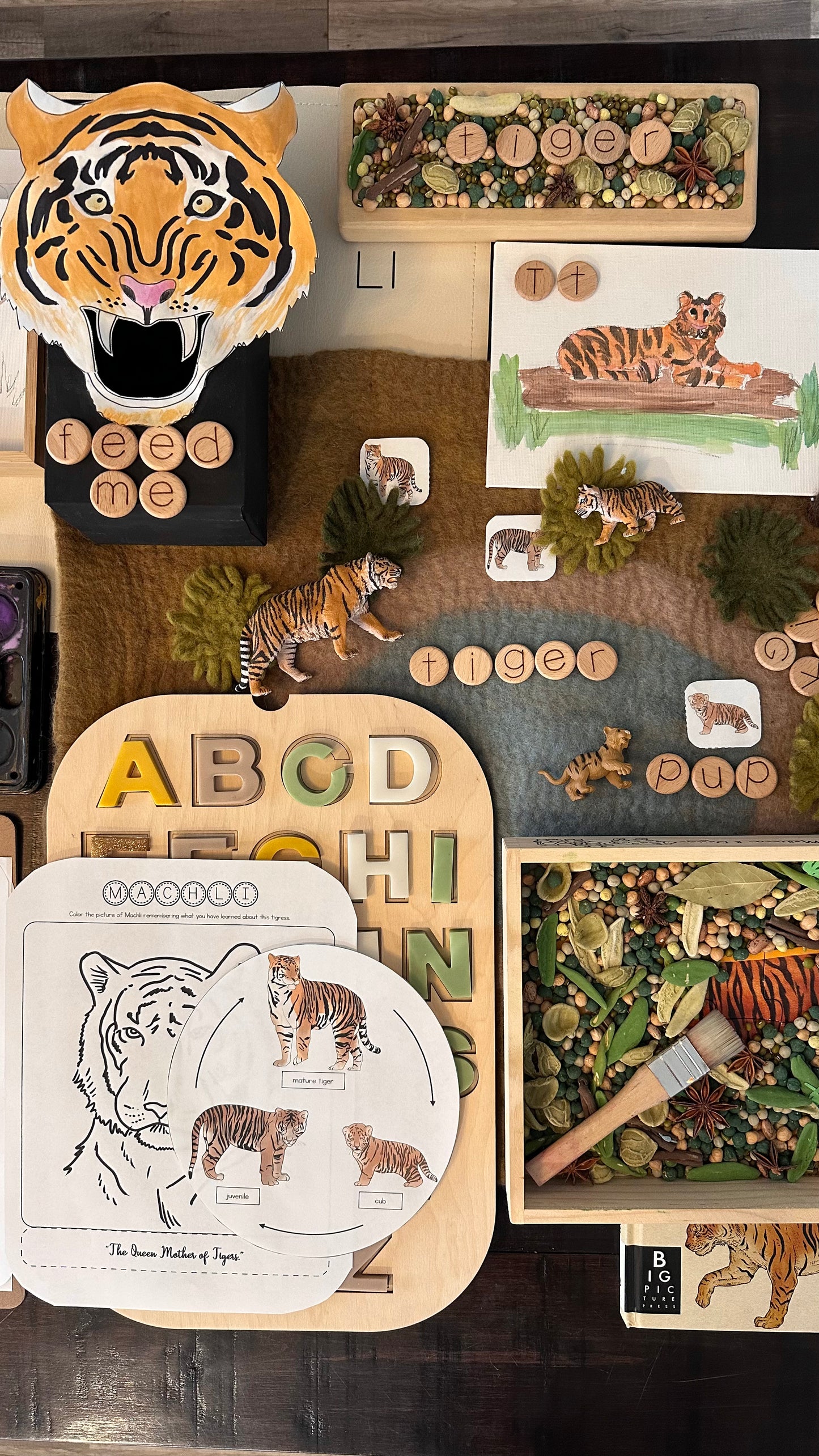 All About Rainforests