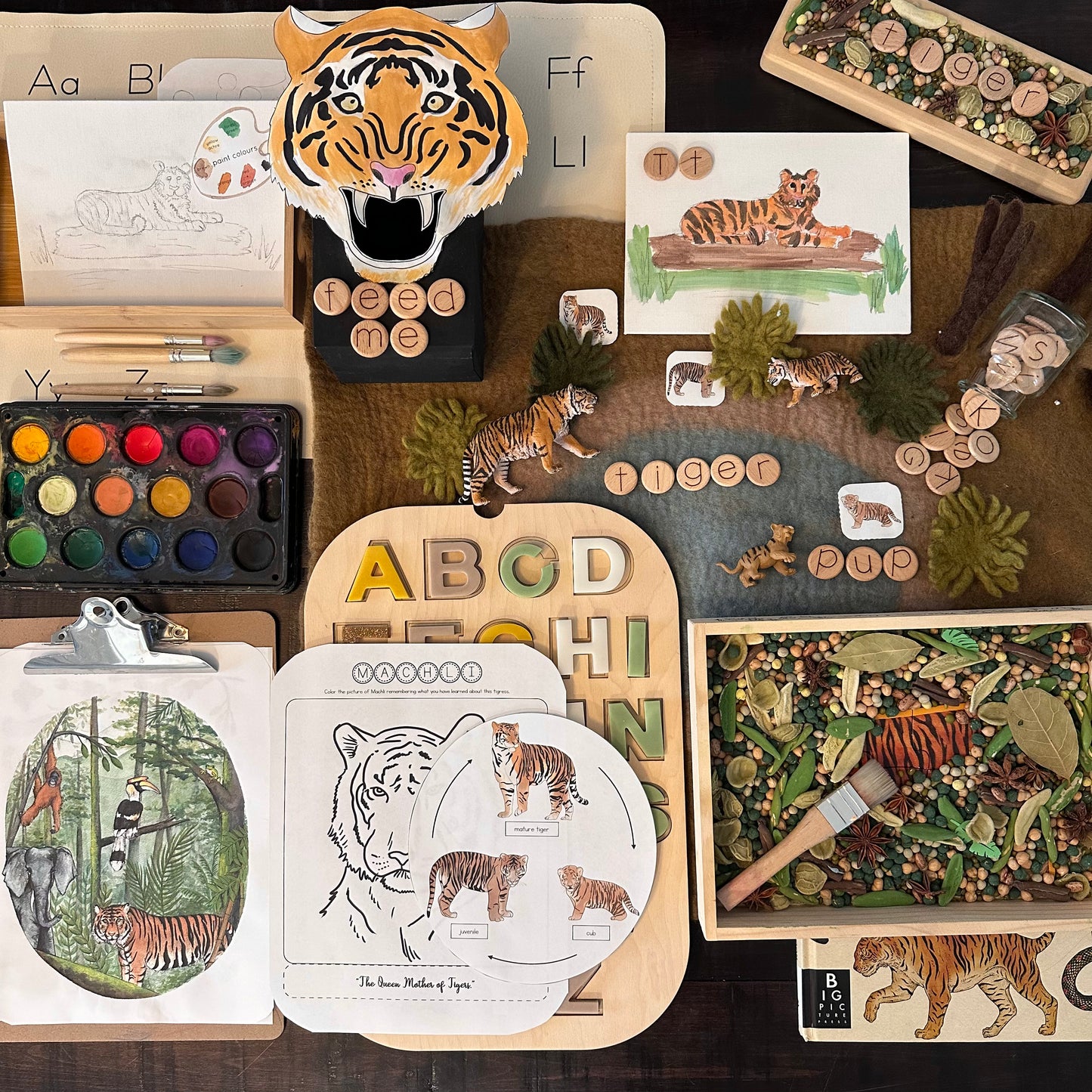 All About Rainforests